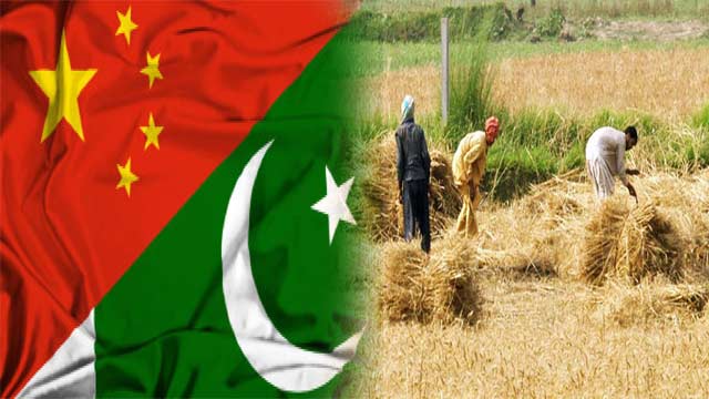 پاکستان اور چین زرعی تعاون کو مزید مستحکم کررہے ہیں۔